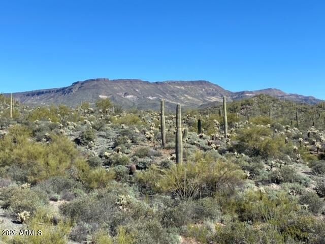 45XXX N Cottonwood Canyon Road -, Cave Creek, AZ 85331