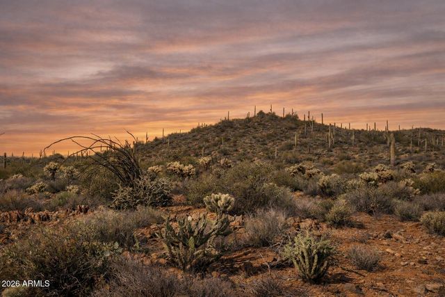 45XXX N Cottonwood Canyon Road -, Cave Creek, AZ 85331