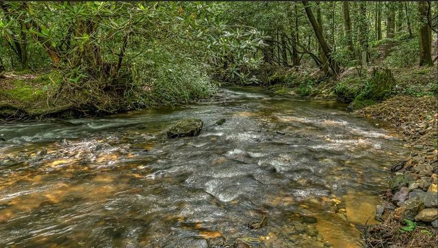30 Stanley Creek, Blue Ridge, GA 30513