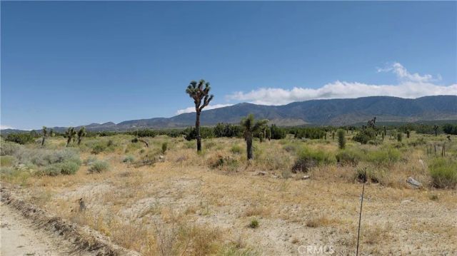 31 Hwy 138, Llano, CA 93544