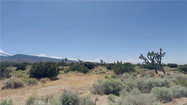 31 Hwy 138, Llano, CA 93544