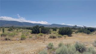 31 Hwy 138, Llano, CA 93544