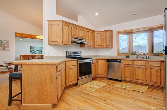 33001 County Road 371, Buena Vista, CO 81211