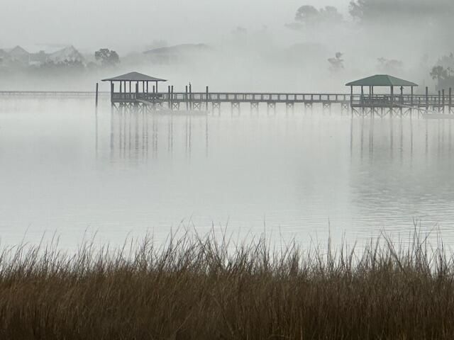 145 Low Tide Court, Charleston, SC 29492
