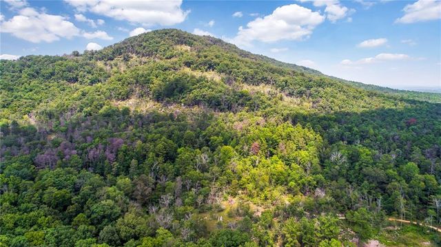 1233 Parkview Lane NW, Kennesaw, GA 30152