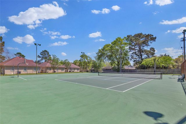 35 Regency Point, Montgomery, TX 77356