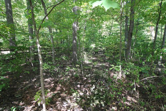 2070 Bryton Drive, Powell, OH 43065