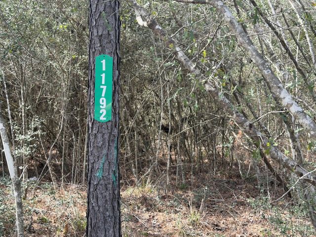 11792 Inspiration Drive, Willis, TX 77378