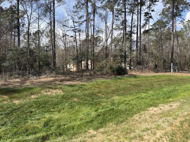 11792 Inspiration Drive, Willis, TX 77378