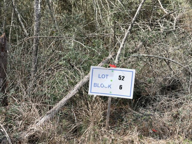 11792 Inspiration Drive, Willis, TX 77378