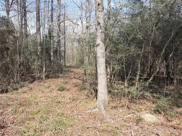 11792 Inspiration Drive, Willis, TX 77378