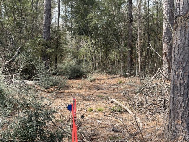 11792 Inspiration Drive, Willis, TX 77378