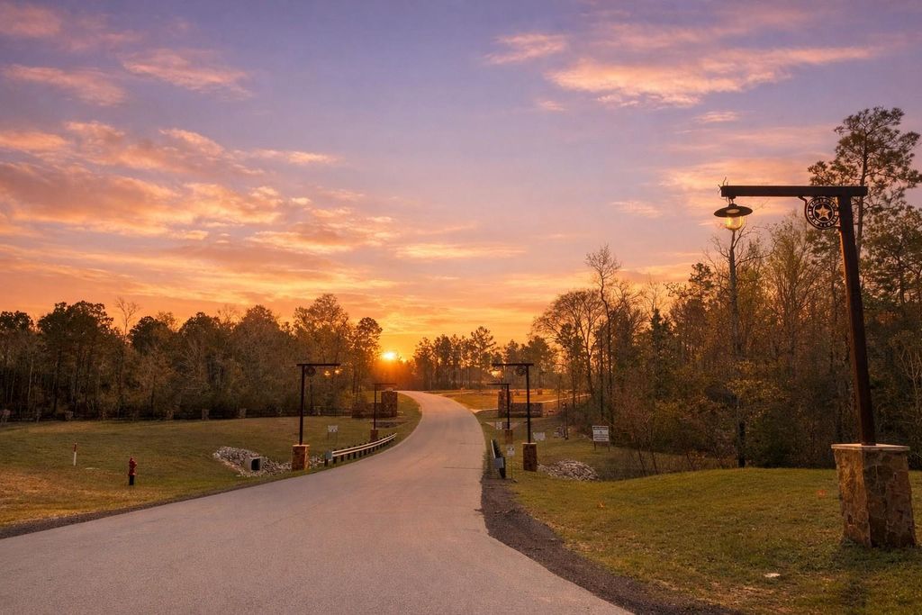 11792 Inspiration Drive, Willis, TX 77378