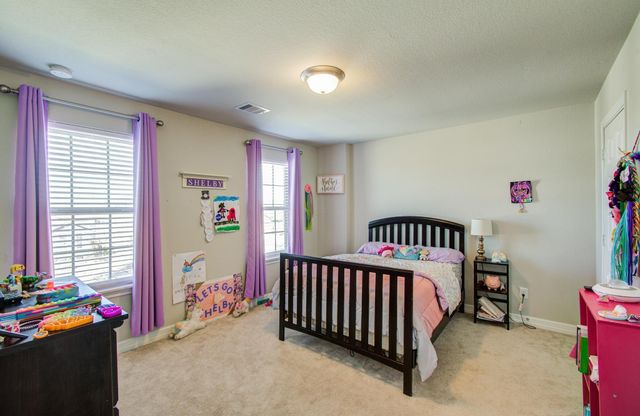 10317 Russell Pines Drive, Rosharon, TX 77583