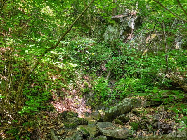 181 Harley Davidson Drive, Canton, NC 28716