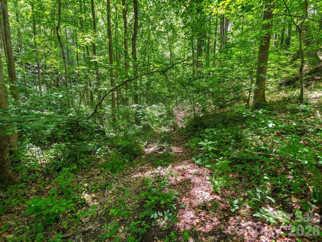 181 Harley Davidson Drive, Canton, NC 28716