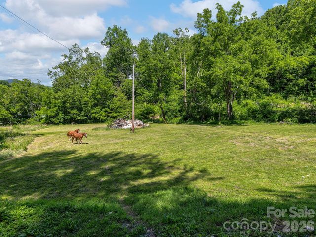 181 Harley Davidson Drive, Canton, NC 28716