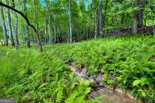 18131 Morganton Highway, Morganton, GA 30560