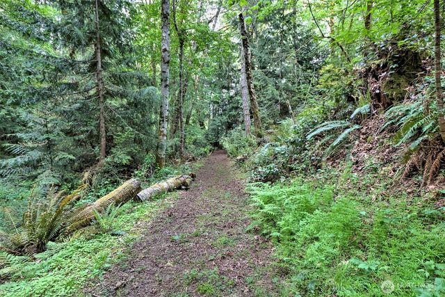 187 E Vineyard Crest Road, Grapeview, WA 98546