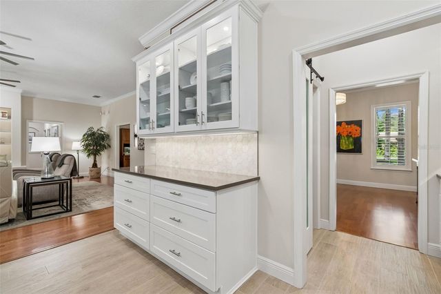 421 PINE BLUFF DRIVE, Lutz, FL 33549