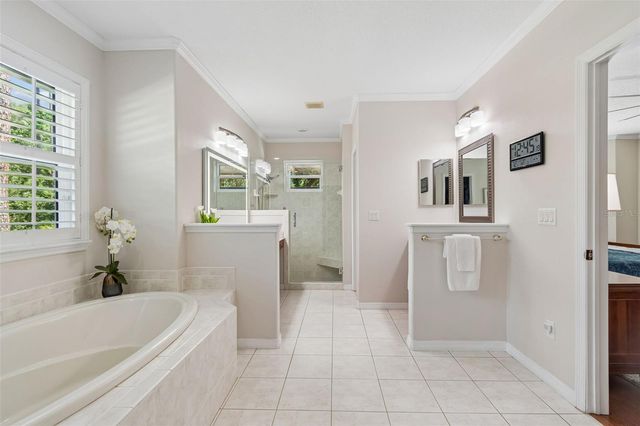 421 PINE BLUFF DRIVE, Lutz, FL 33549