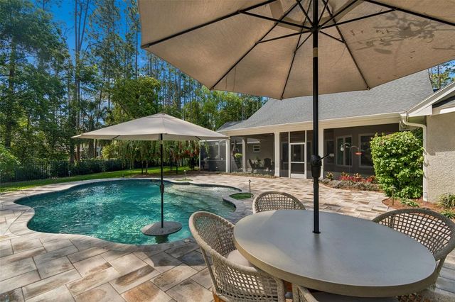 421 PINE BLUFF DRIVE, Lutz, FL 33549