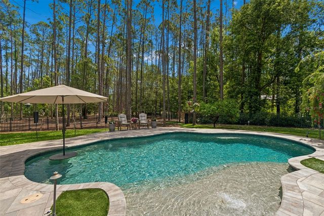 421 PINE BLUFF DRIVE, Lutz, FL 33549