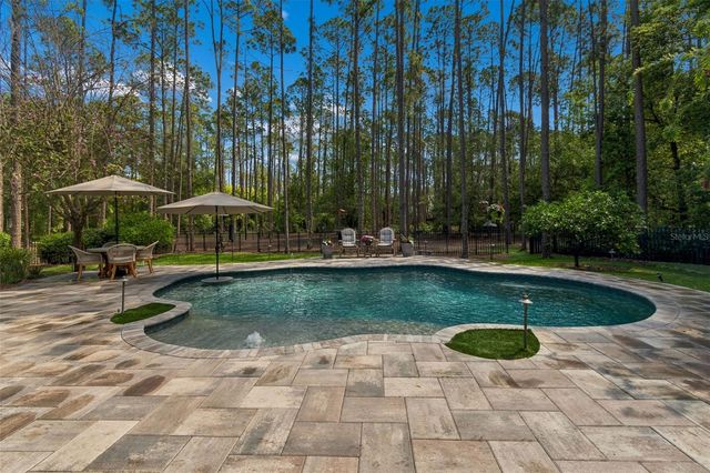 421 PINE BLUFF DRIVE, Lutz, FL 33549