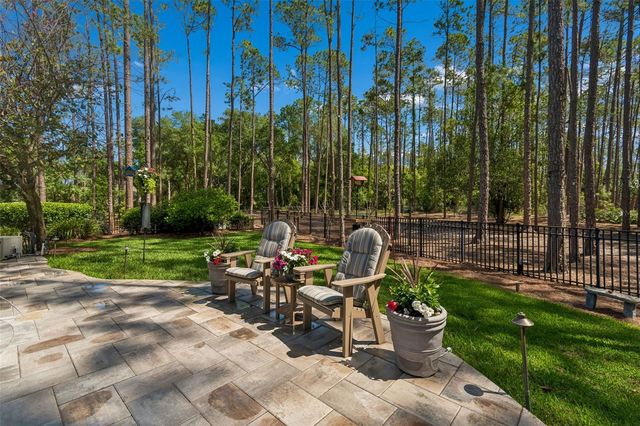 421 PINE BLUFF DRIVE, Lutz, FL 33549