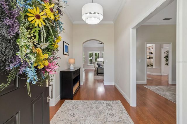 421 PINE BLUFF DRIVE, Lutz, FL 33549