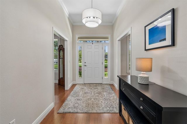 421 PINE BLUFF DRIVE, Lutz, FL 33549