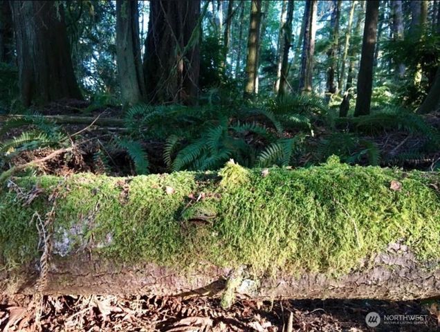 540 E Harstine Heights Lane, Shelton, WA 98584