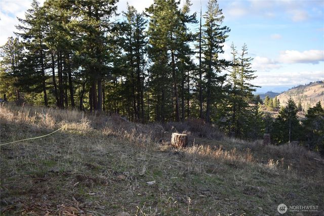 241 Morrison Canyon Lane, Cle Elum, WA 98922