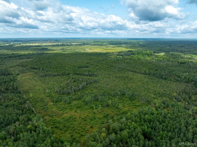 4889 E Maple Ridge 37th Road, Rock, MI 49880