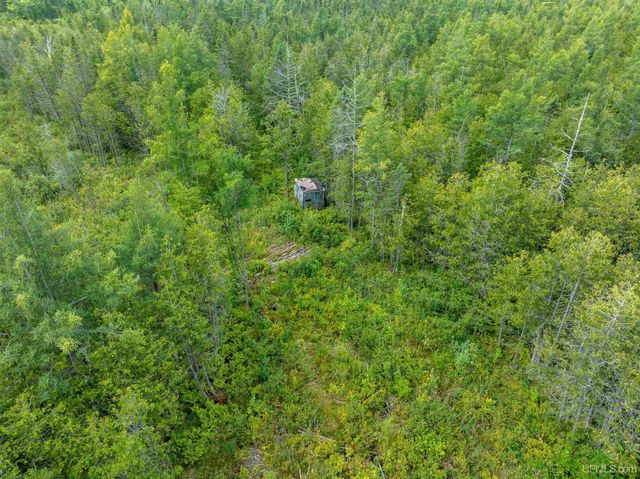 4889 E Maple Ridge 37th Road, Rock, MI 49880