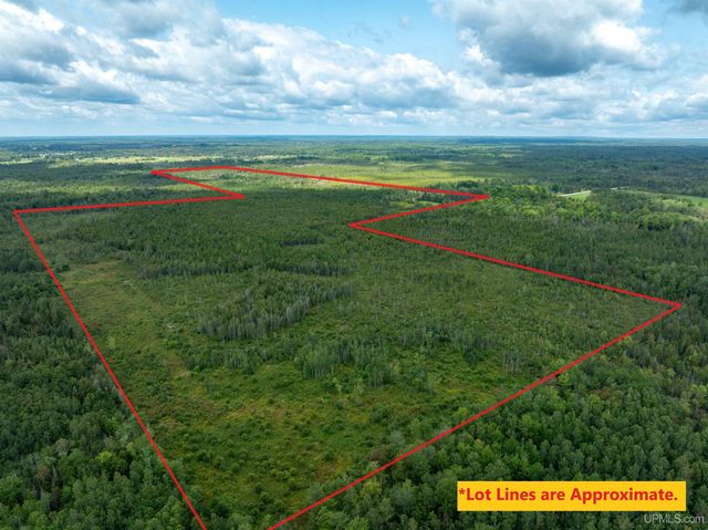 4889 E Maple Ridge 37th Road, Rock, MI 49880