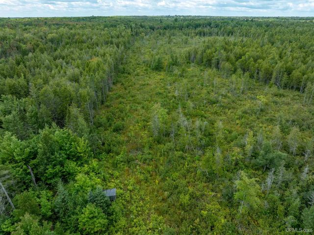 4889 E Maple Ridge 37th Road, Rock, MI 49880