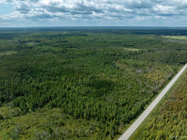 4889 E Maple Ridge 37th Road, Rock, MI 49880