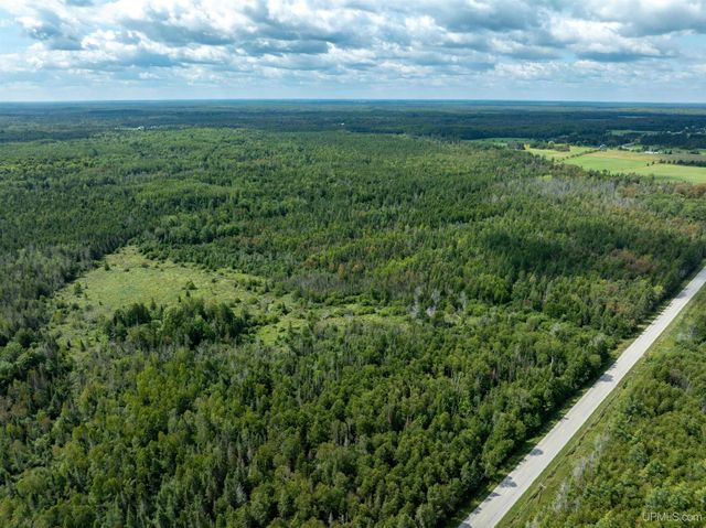 4889 E Maple Ridge 37th Road, Rock, MI 49880