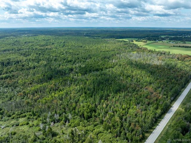 4889 E Maple Ridge 37th Road, Rock, MI 49880