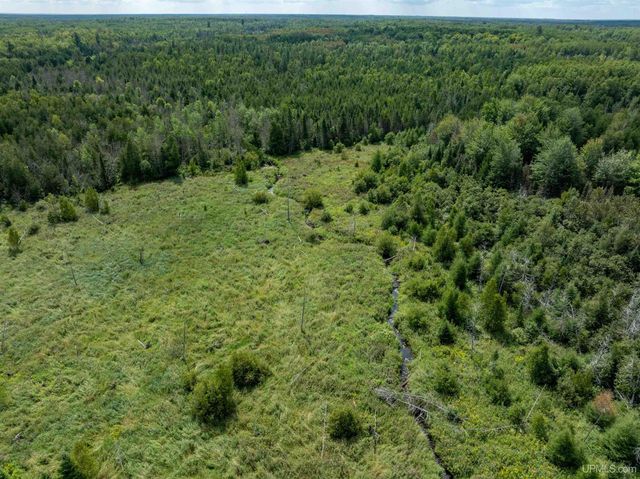 4889 E Maple Ridge 37th Road, Rock, MI 49880