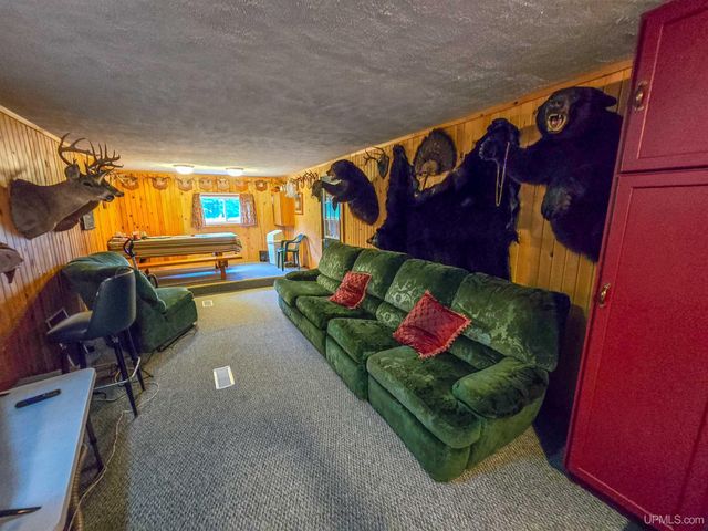 4889 E Maple Ridge 37th Road, Rock, MI 49880