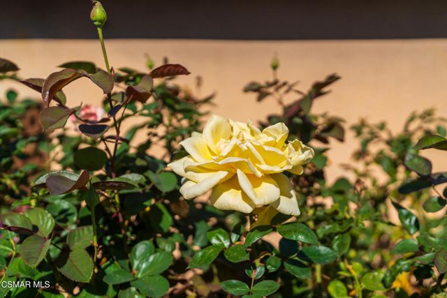 9299 Dorrington Place, Arleta, CA 91331