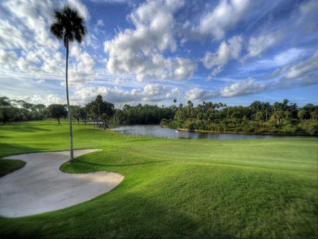 1851 GEORGIA AVENUE, Palm Harbor, FL 34683