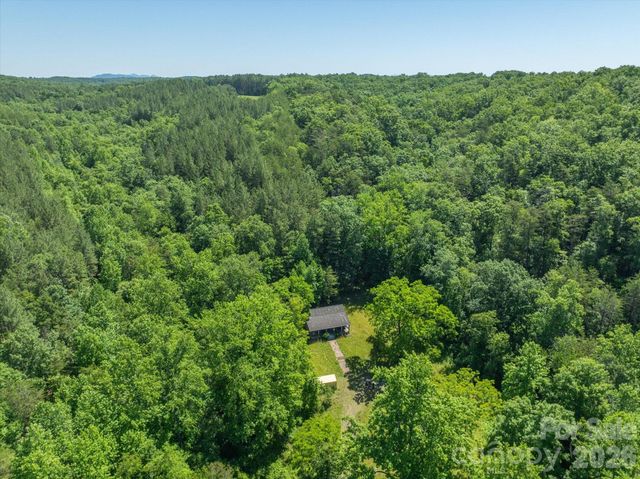 1194 Palmer Road, Mill Spring, NC 28756