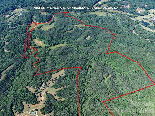 1194 Palmer Road, Mill Spring, NC 28756
