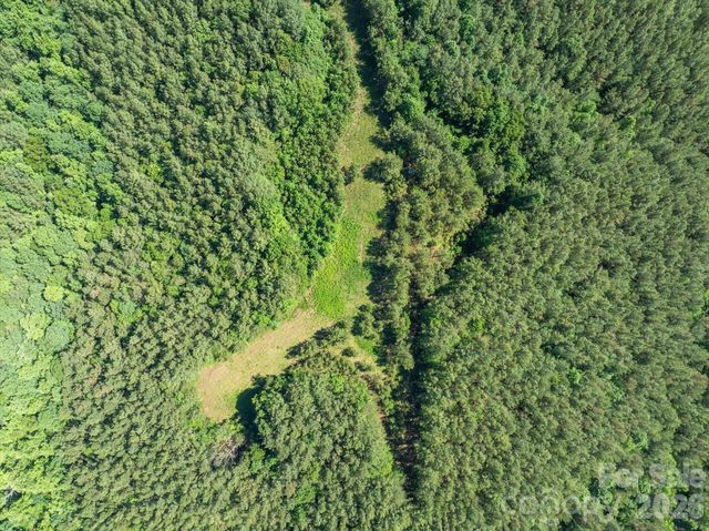 1194 Palmer Road, Mill Spring, NC 28756