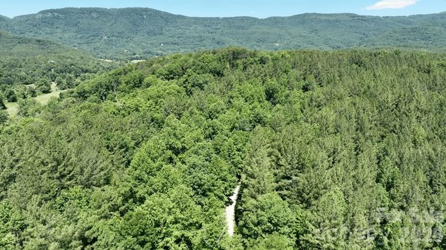 1194 Palmer Road, Mill Spring, NC 28756