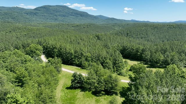 1194 Palmer Road, Mill Spring, NC 28756
