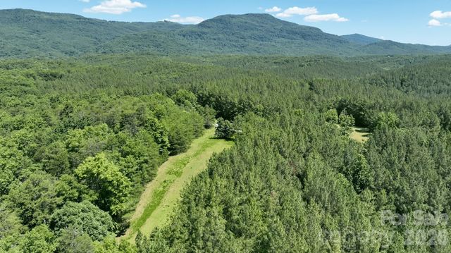 1194 Palmer Road, Mill Spring, NC 28756